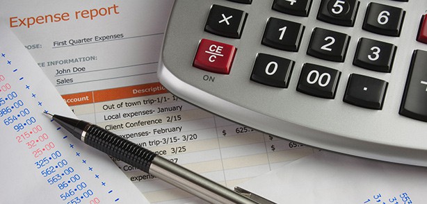Business-Expense-Report-In-Text