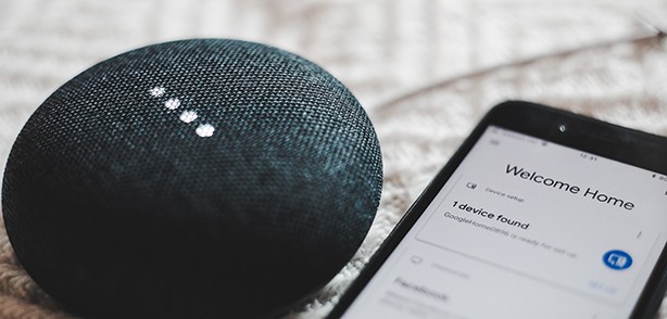 Google Home for Voice Shopping